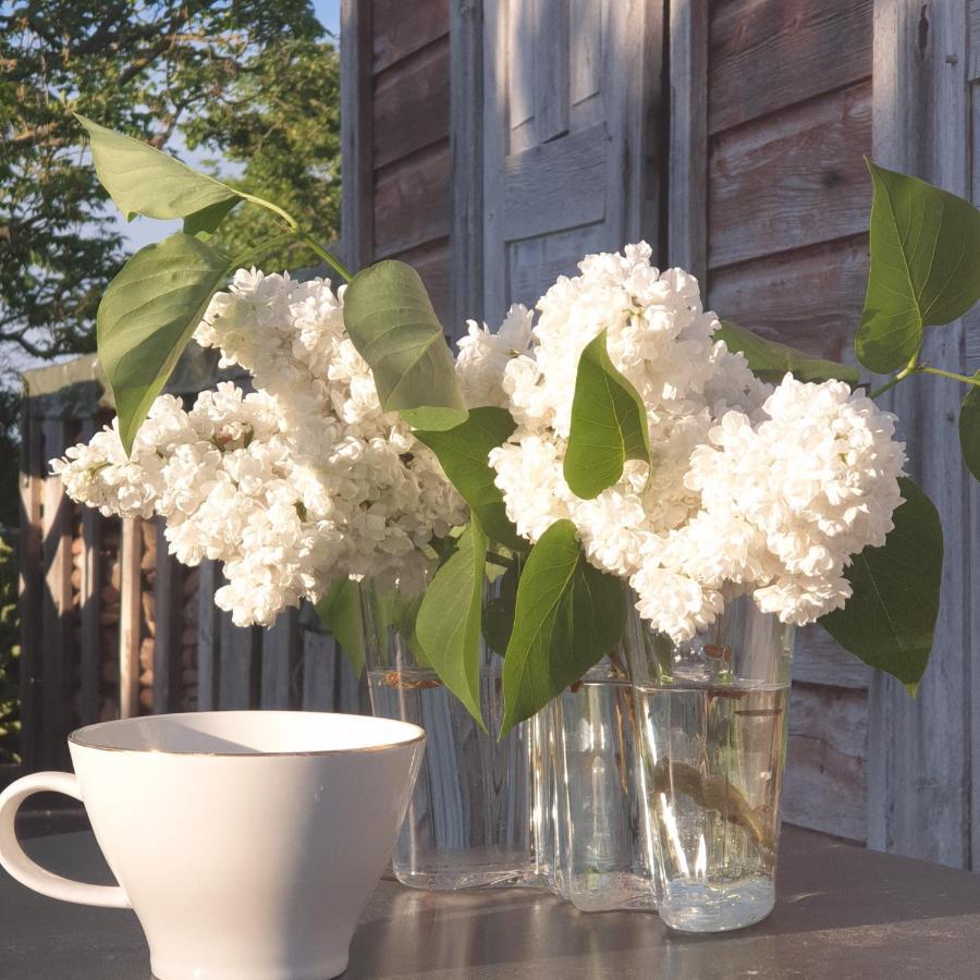 Hemse Ronehamn Bed And Breakfast المظهر الخارجي الصورة
