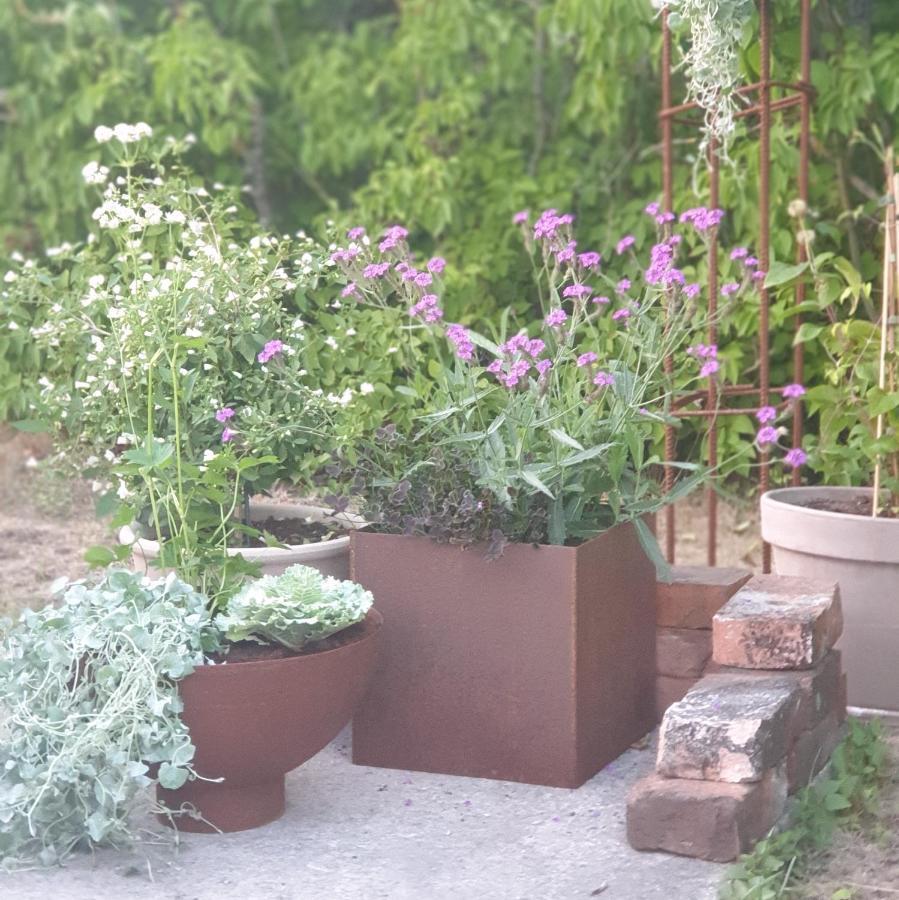 Hemse Ronehamn Bed And Breakfast المظهر الخارجي الصورة