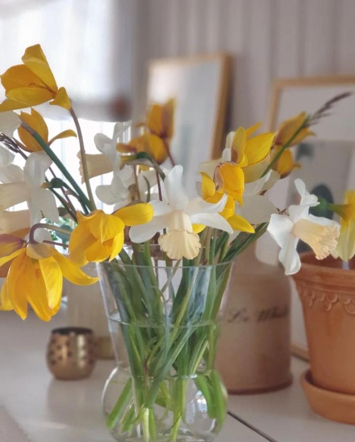 Hemse Ronehamn Bed And Breakfast المظهر الخارجي الصورة