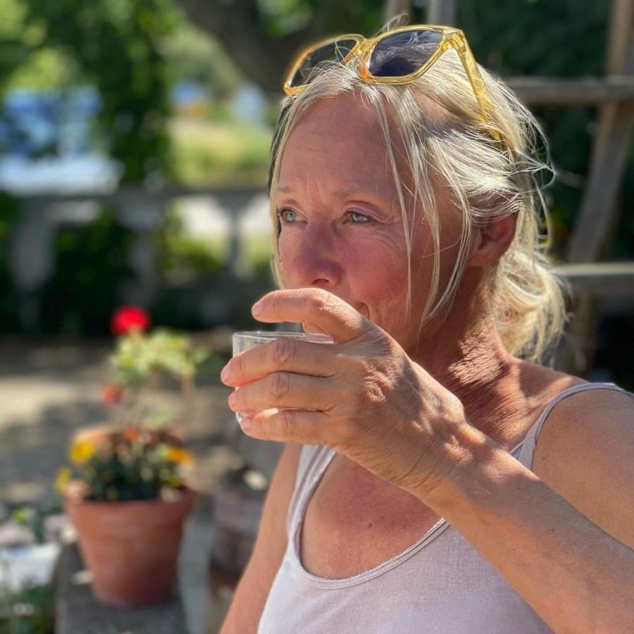 Hemse Ronehamn Bed And Breakfast المظهر الخارجي الصورة