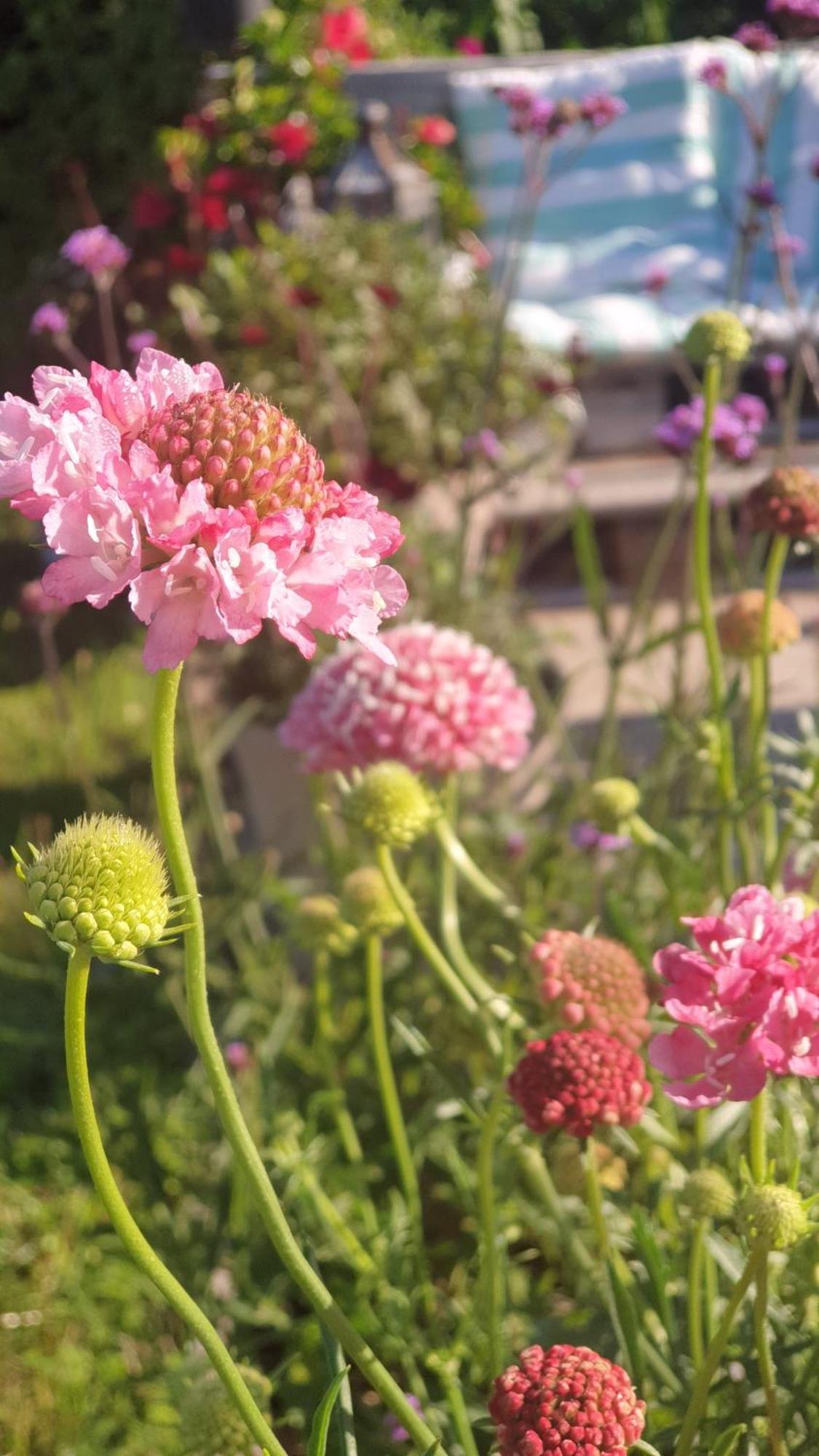Hemse Ronehamn Bed And Breakfast المظهر الخارجي الصورة